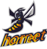 logo_10_hornet.png